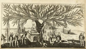 Introducing the Schulich-Woolf Collection